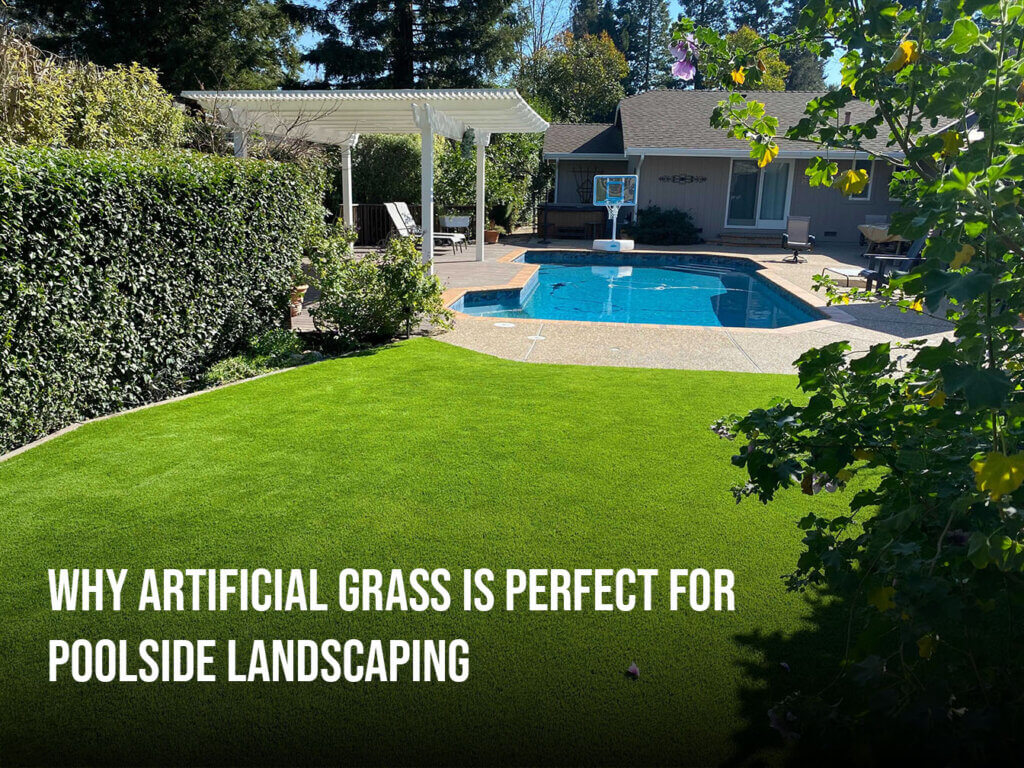 Artificial Grass in Monterey for Poolside Landscaping