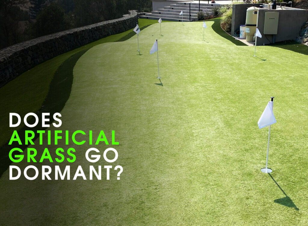 Why Does Artificial Grass go Dormant?