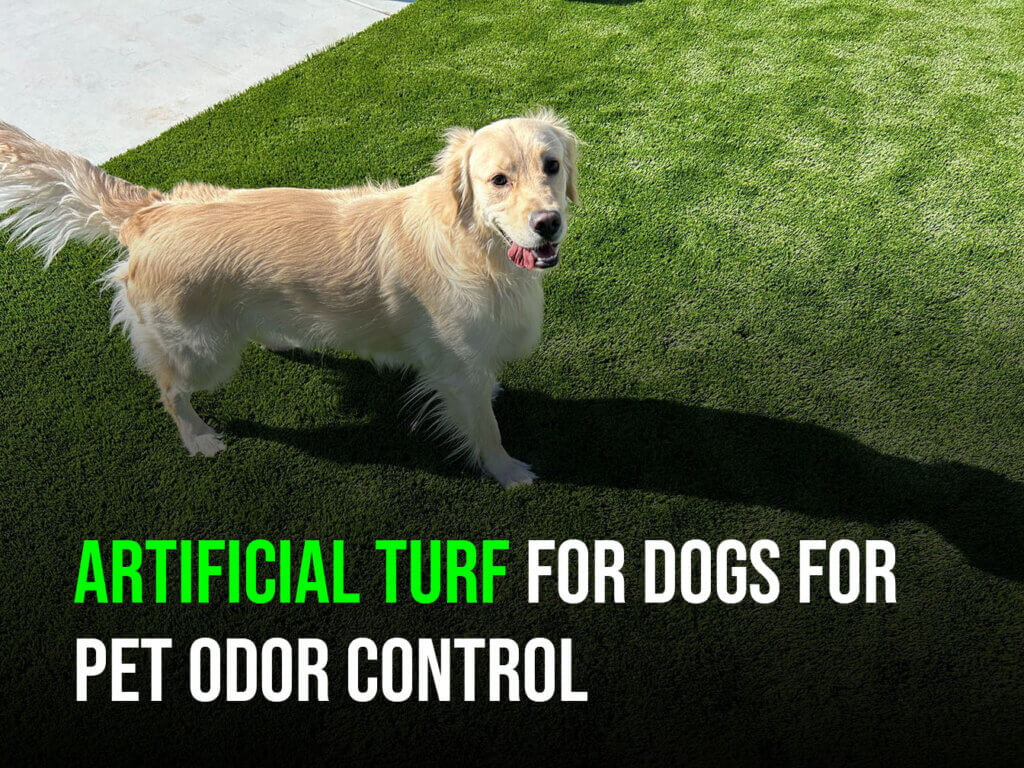 Artificial Turf for Dogs for Pet Odor Control-monterey